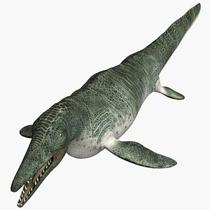 Tylosaurus 3D Models for Download | TurboSquid