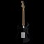 Fender Stratocaster -Blackie-