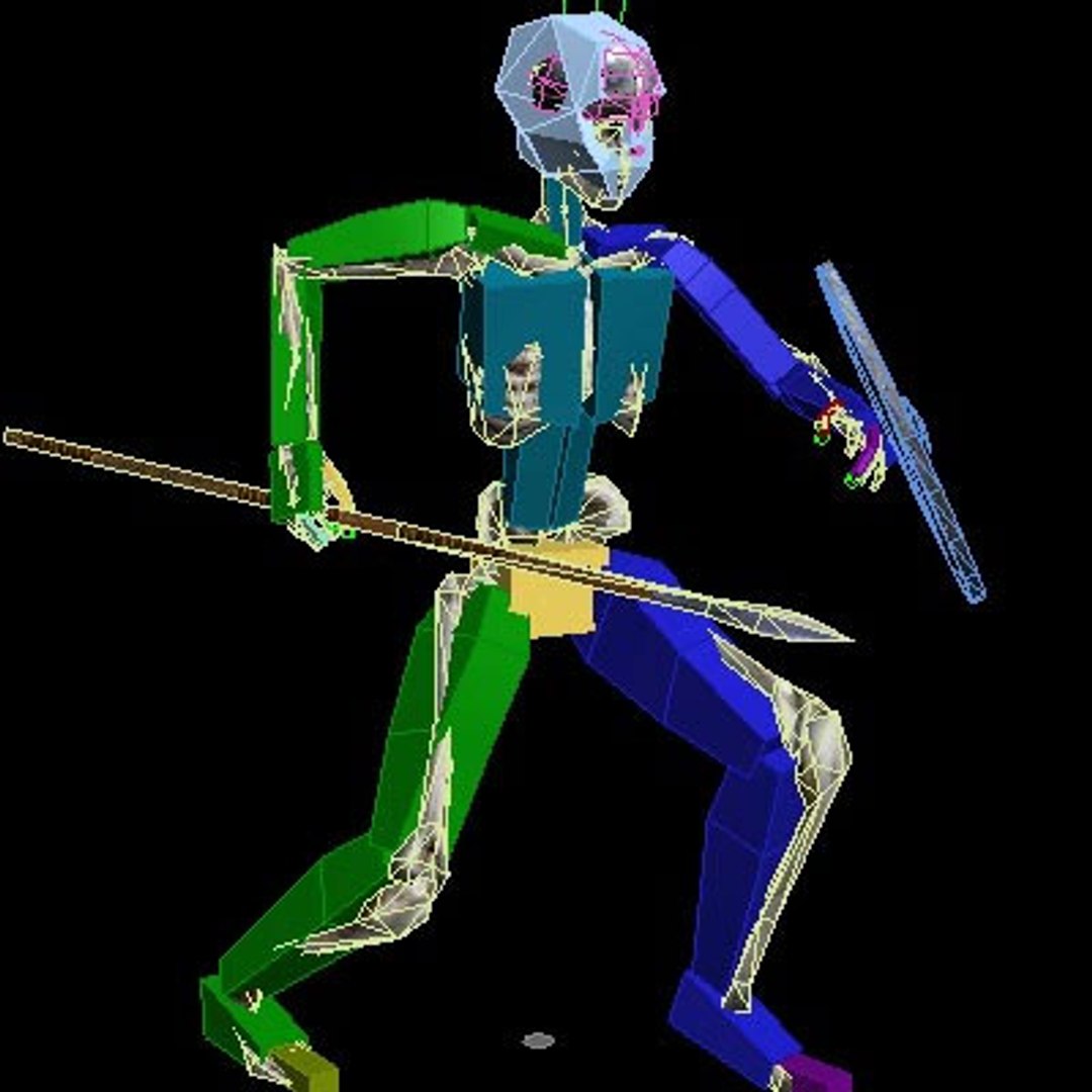 3d Skeleton Rigged