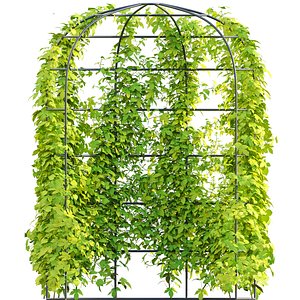 3D Humulus lupulus 01