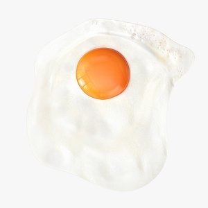 Fried Egg