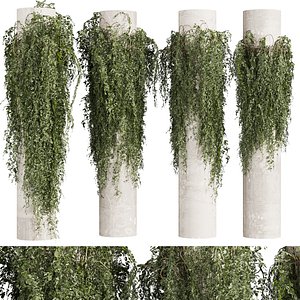 plant vol 793 - outdoor - column - fitowall - ivy 3D