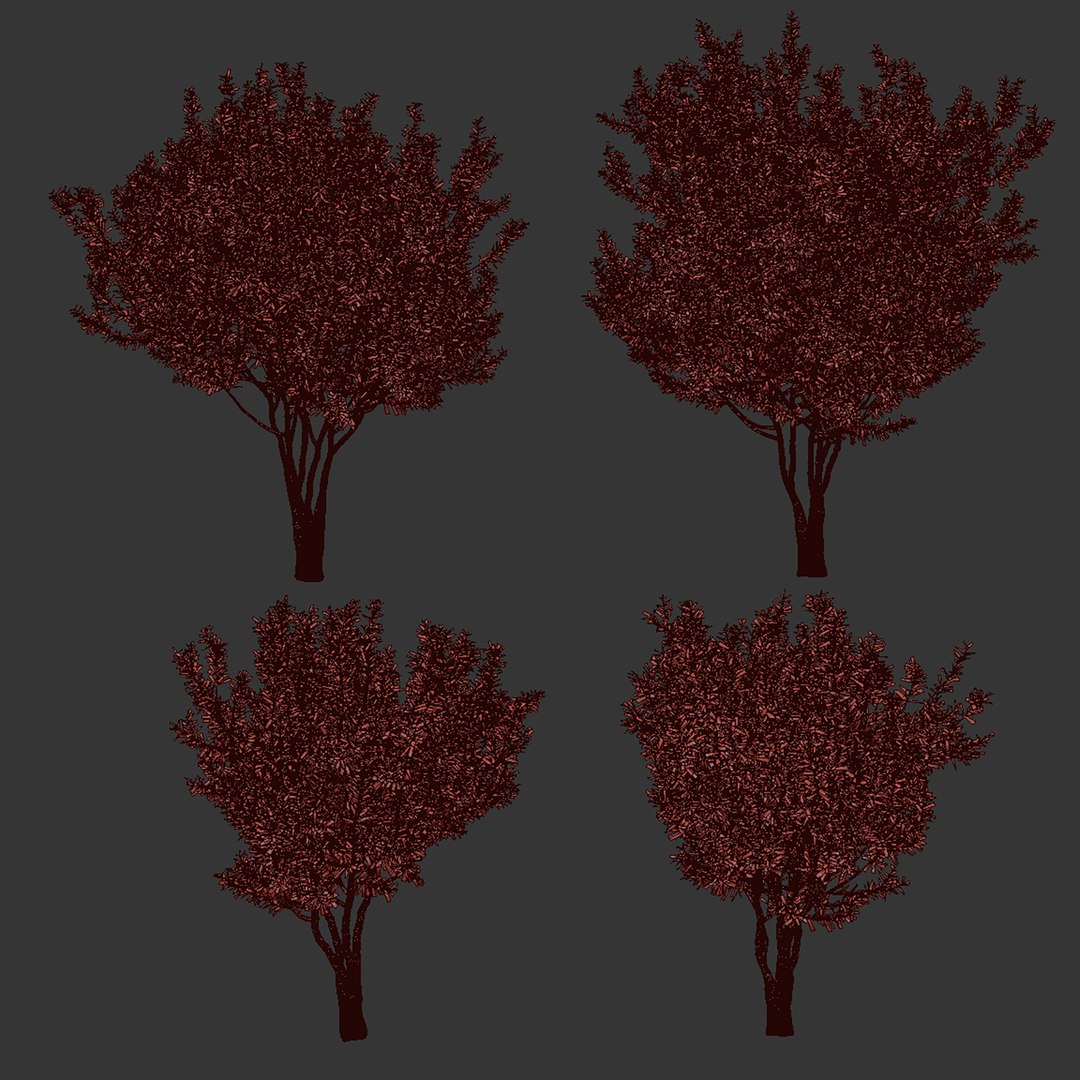 3D plant vol 880 - Eucalyptus - Lehmannii - tree model https://p.turbosquid.com/ts-thumb/tD/O1FYZX/td/6/jpg/1771961728/1920x1080/fit_q87/579158c17c3ad98173adf9d882dc5098ea5f3138/6.jpg