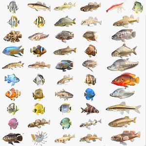 3D 50 Fish Sea Creatures Collection v5