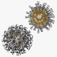 Novel Coronavirus Collection