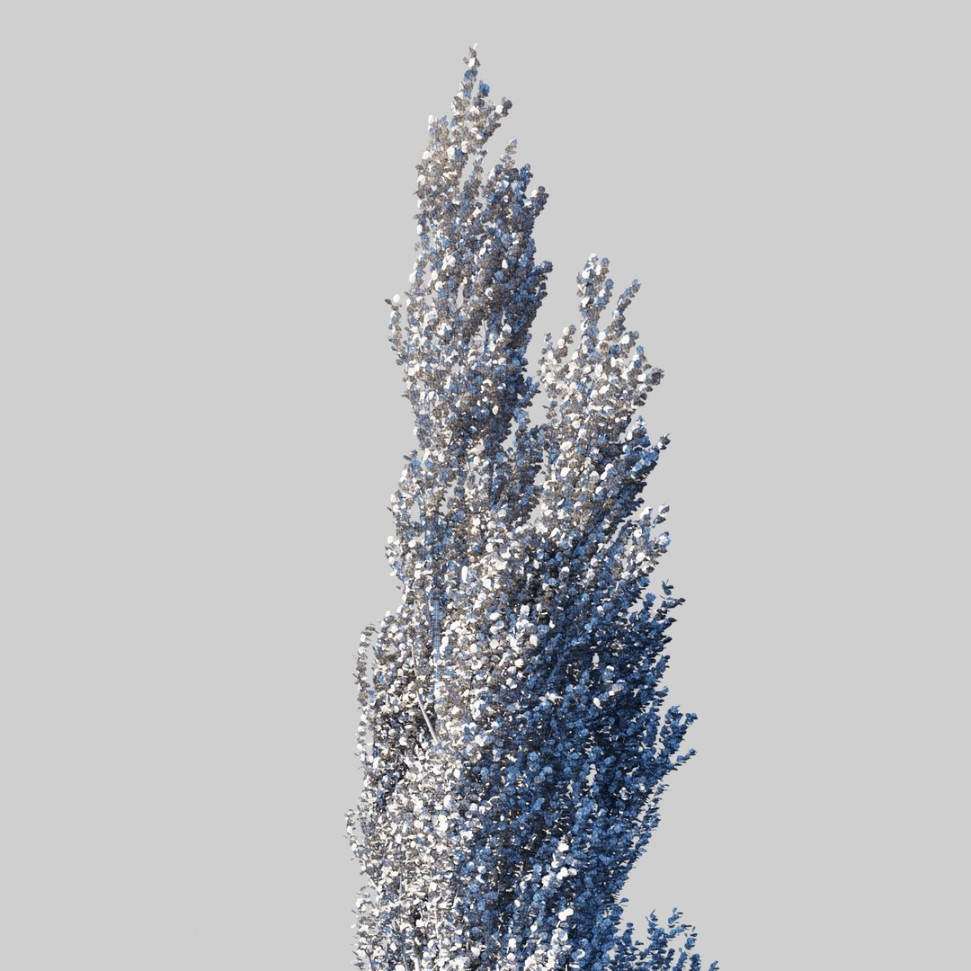 3D Populus Tree Model - TurboSquid 1462004