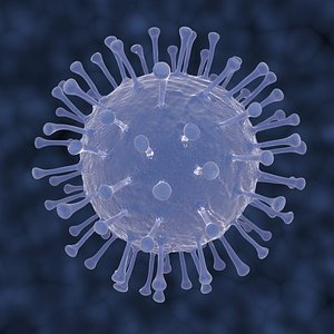 influenza virus 3d model