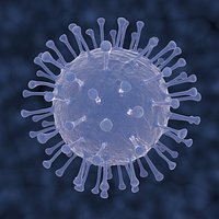 Influenza virus
