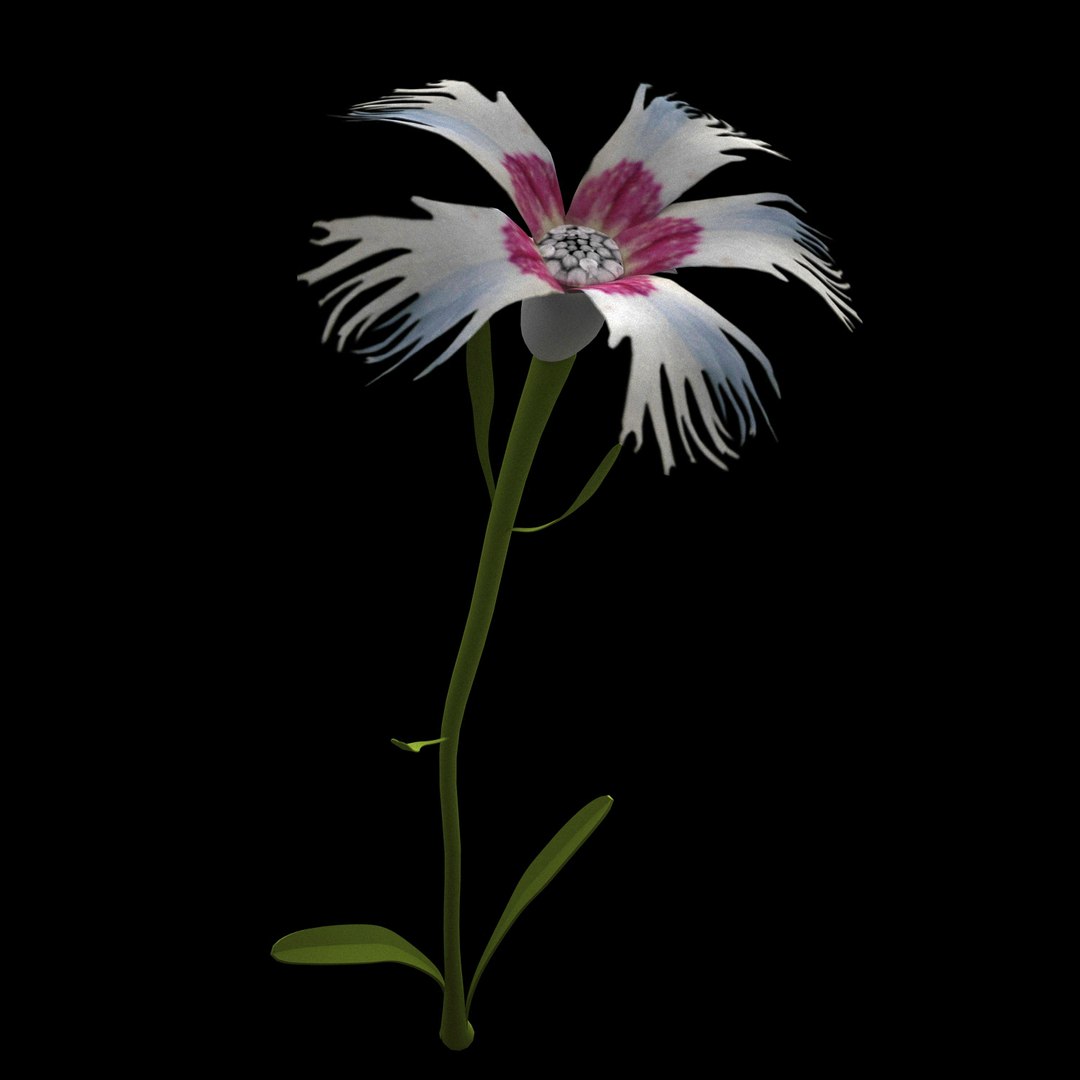 3D Flowers Open Animation - TurboSquid 1588691