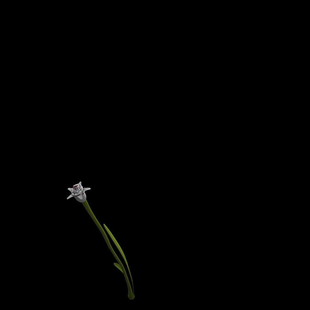 3D Flowers Open Animation - TurboSquid 1588691