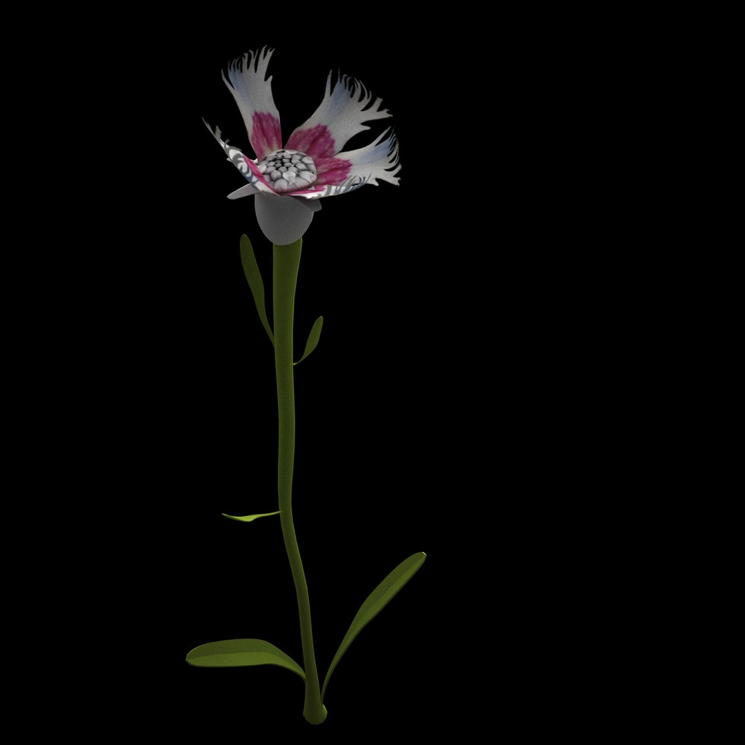 3D Flowers Open Animation - TurboSquid 1588691
