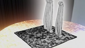 3D Curtain and Rug