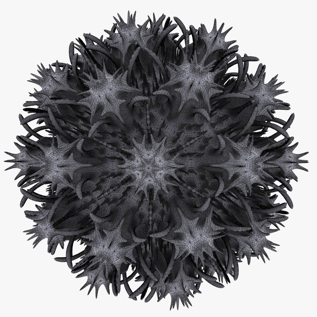 3d Micro Object Mht Model