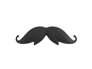 mustache hair 3D model