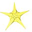 Estrella de mar