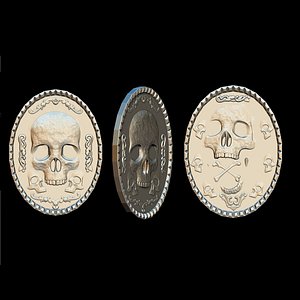 Skull Medallion 002 3D print model 3D model