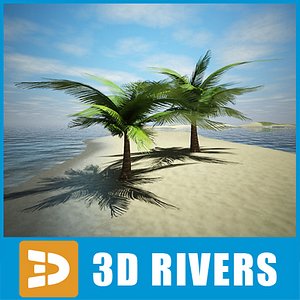 palm tree cycas revoluta 3ds
