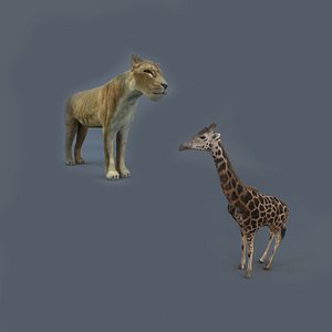 3D Giraffe and Lioness Collection