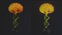Tree in a shape of a DNA chain