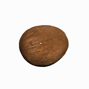 coconut fruits model