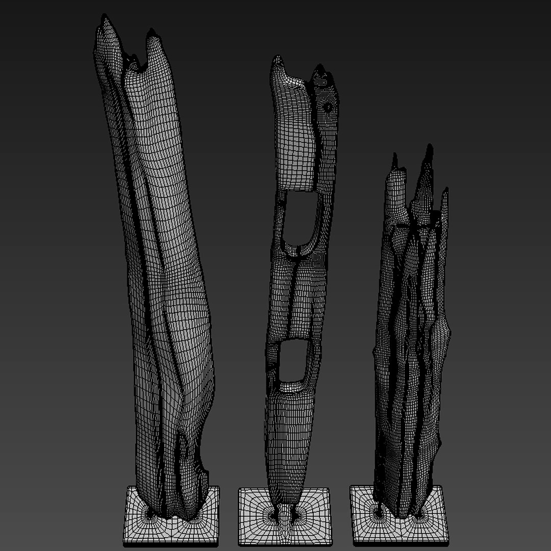 3D natura tall root wood model https://p.turbosquid.com/ts-thumb/tE/ga8JDr/2u81eE2f/7/jpg/1550564593/1920x1080/fit_q87/58b1d0128e6f7d5c50b95f05f708f149480796b4/7.jpg