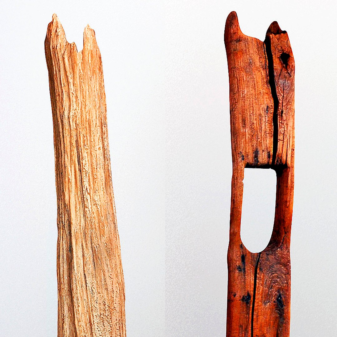 3D natura tall root wood model https://p.turbosquid.com/ts-thumb/tE/ga8JDr/3qkyscam/2/jpg/1550564528/1920x1080/fit_q87/c2009cf0a23c2724aa81140a3c7052b72f051ed5/2.jpg