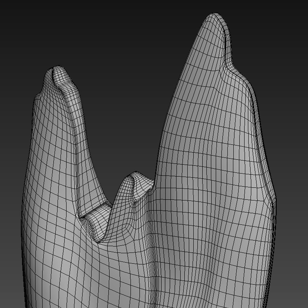 3D natura tall root wood model https://p.turbosquid.com/ts-thumb/tE/ga8JDr/5OwRVxoW/9/jpg/1550564614/1920x1080/fit_q87/670452a464466c453940eb3984d9a825393f9f5b/9.jpg