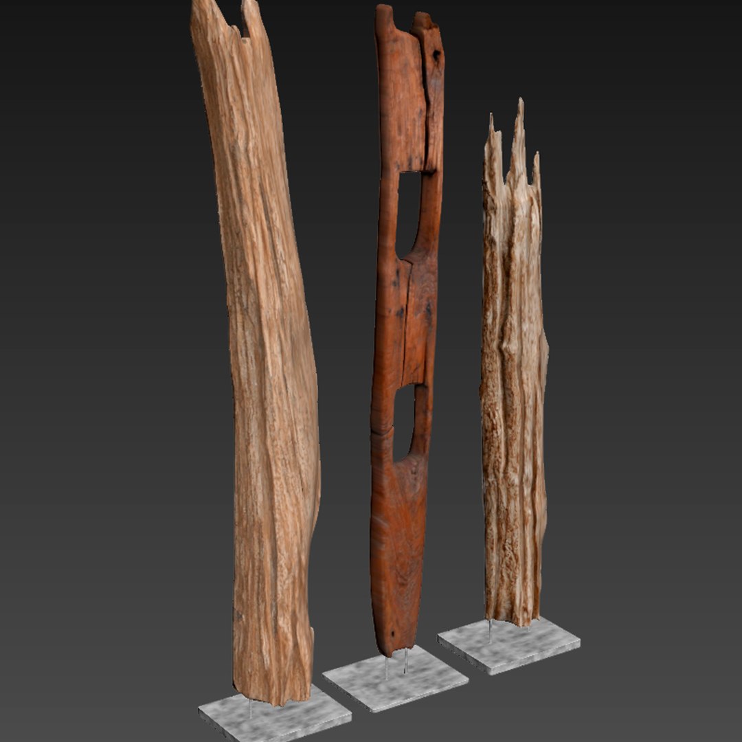 3D natura tall root wood model https://p.turbosquid.com/ts-thumb/tE/ga8JDr/lBXXgMhL/5/jpg/1550564564/1920x1080/fit_q87/f575e6f3dc8d0e92d0ee0e947a2346c690f08ea7/5.jpg