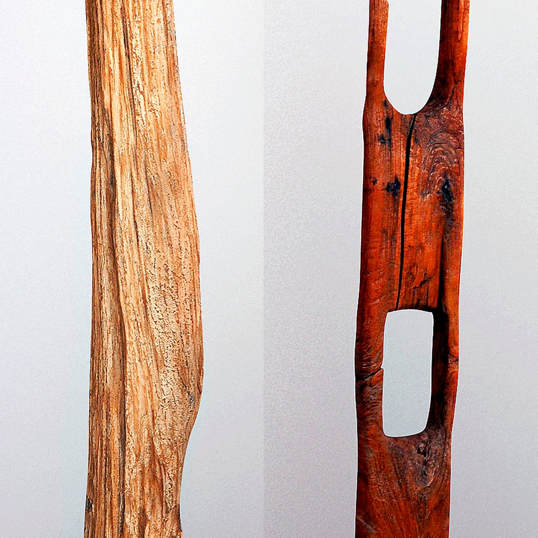 3D natura tall root wood model https://p.turbosquid.com/ts-thumb/tE/ga8JDr/shX7HL98/3/jpg/1550564544/1920x1080/fit_q87/2f25cf1c328104696a410bc14b6b473b83a8377a/3.jpg