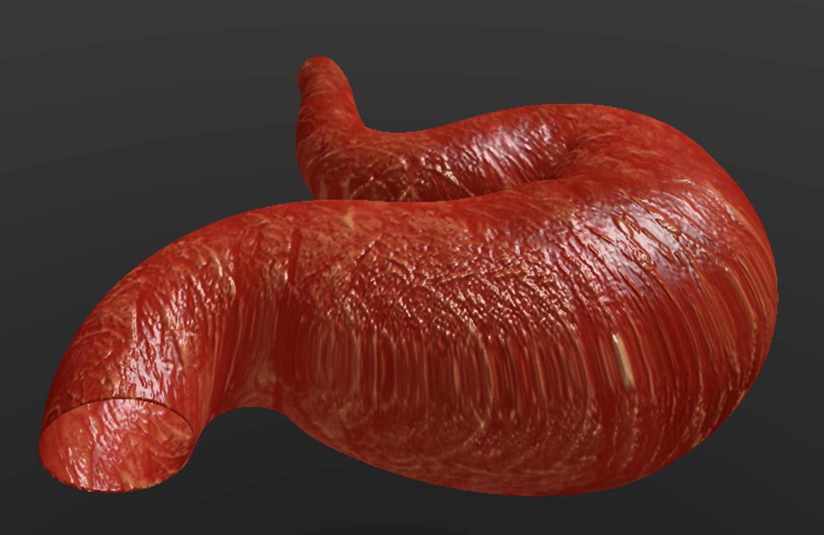 human stomach 3D https://p.turbosquid.com/ts-thumb/tE/kWQ8Tm/a6BCzDUI/inf/png/1541193550/1920x1080/fit_q87/8f1951ad550aa6e5a2758bf7e573be8048fdbbf3/inf.jpg