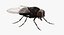 3D insects big rigged