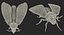 3D insects big rigged