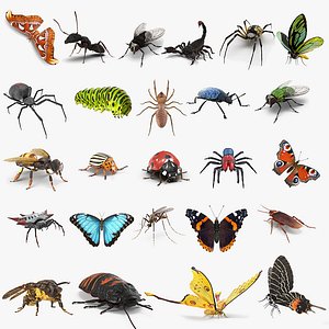 Insects Big Collection Rigged for Maya