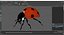 3D insects big rigged