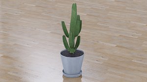 3D Potted Cactus