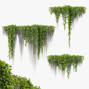 Hanging Plant 38