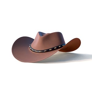 3D cowboy hat