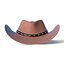 Cowboy hat