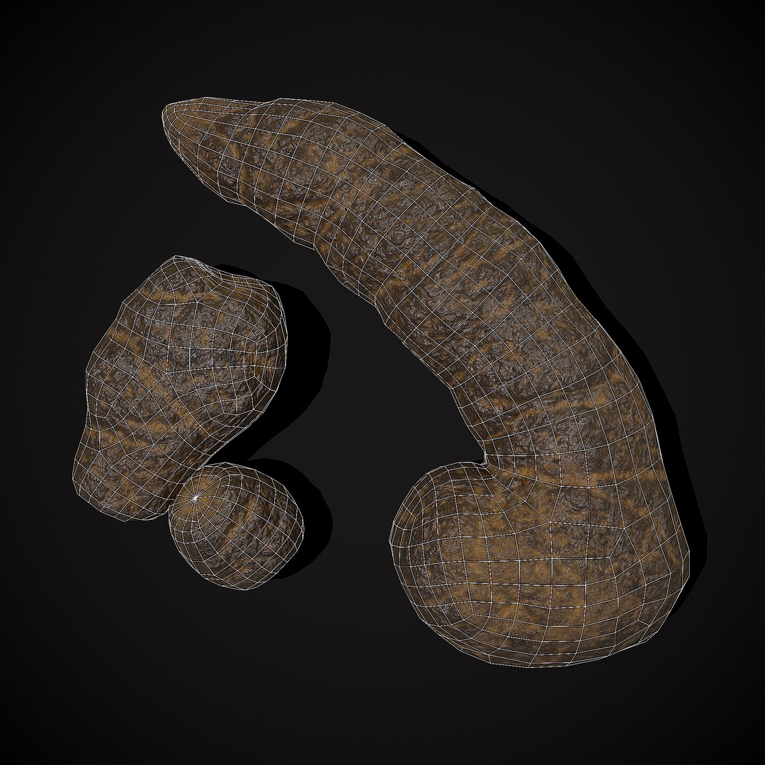 3D Dog Poop Model - TurboSquid 2197147