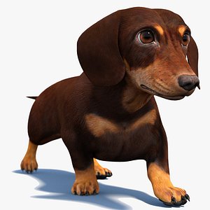 Animated Dachshund Dog 3D Model 3D model