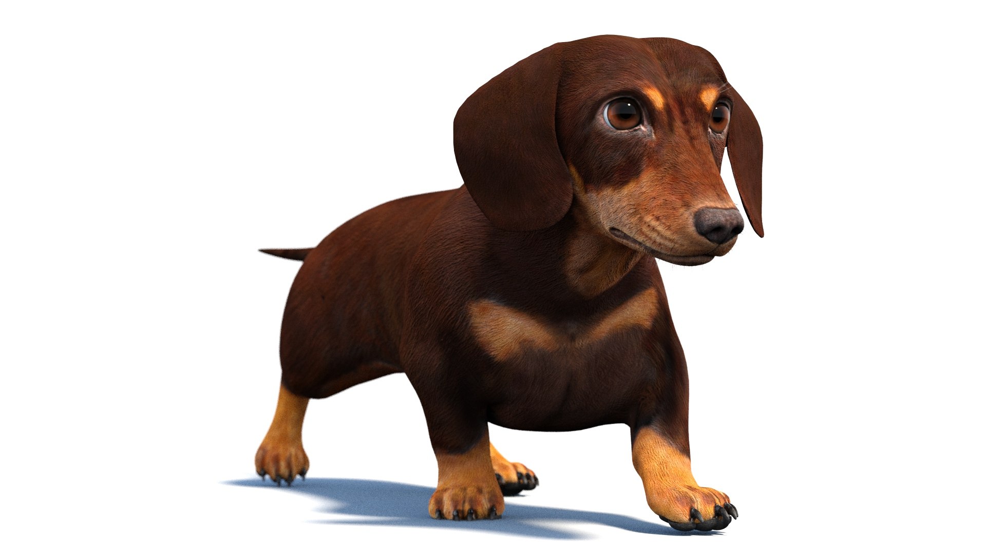 Animated weiner dog best sale