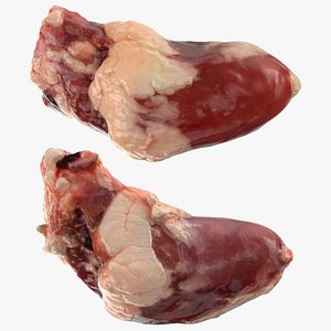 3D Chicken Heart Collection model
