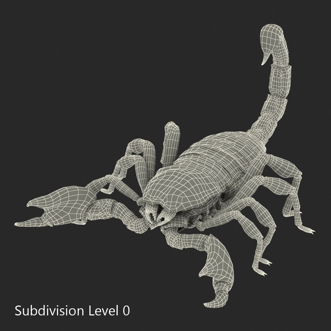 black scorpion rigged fur 3d max https://p.turbosquid.com/ts-thumb/tF/j8vO6d/dHBvLc0y/3dmodelofblackscorpionrigged36/jpg/1456764209/1920x1080/fit_q87/24c14056a3c65ac477eda30e42c53657e1de886f/3dmodelofblackscorpionrigged36.jpg