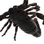 Чёрный скорпион, украшенный мехом, 3D модель