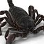 Чёрный скорпион, украшенный мехом, 3D модель