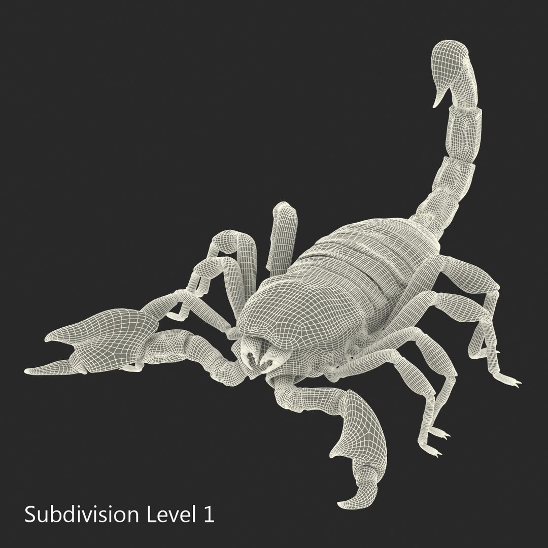 black scorpion rigged fur 3d max https://p.turbosquid.com/ts-thumb/tF/j8vO6d/vtcRS1fC/3dmodelofblackscorpionrigged37/jpg/1456764209/1920x1080/fit_q87/be63b01d8bfd70a91ad173a434a1223358c2cb45/3dmodelofblackscorpionrigged37.jpg
