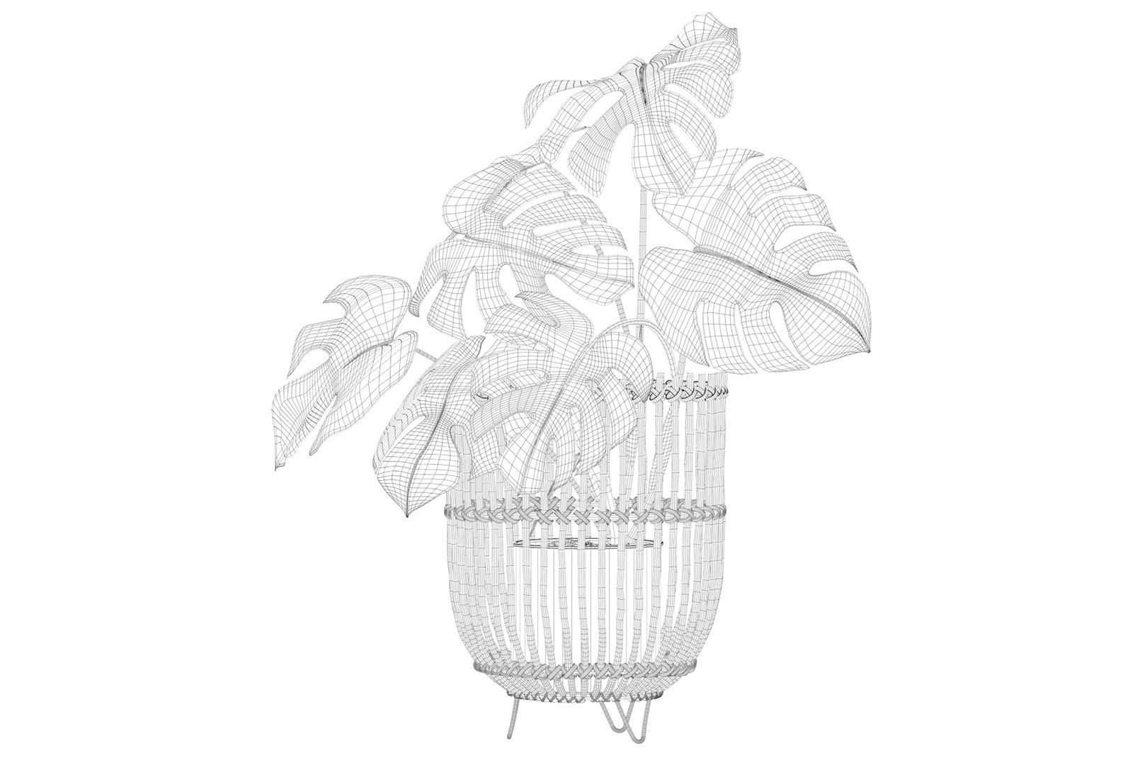 Monstera in rattan stand 3D model https://p.turbosquid.com/ts-thumb/tF/rXxK35/SR/monsterade_ctexmap0000/jpg/1649153591/1920x1080/fit_q87/c6bab3f55f597e32c208ee90c1635dbfc49f7a87/monsterade_ctexmap0000.jpg