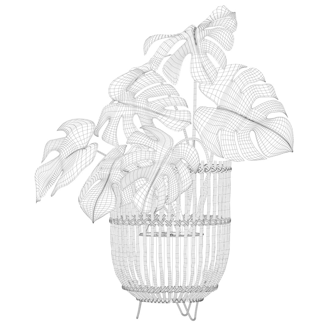Monstera in rattan stand 3D model https://p.turbosquid.com/ts-thumb/tF/rXxK35/X7/monstera04a/jpg/1649153590/1920x1080/fit_q87/16e7032ff208d63e6cdd8217d762af8291380017/monstera04a.jpg