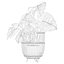 Monstera en soporte de ratán