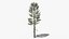 Коллекция Lowpoly Pine